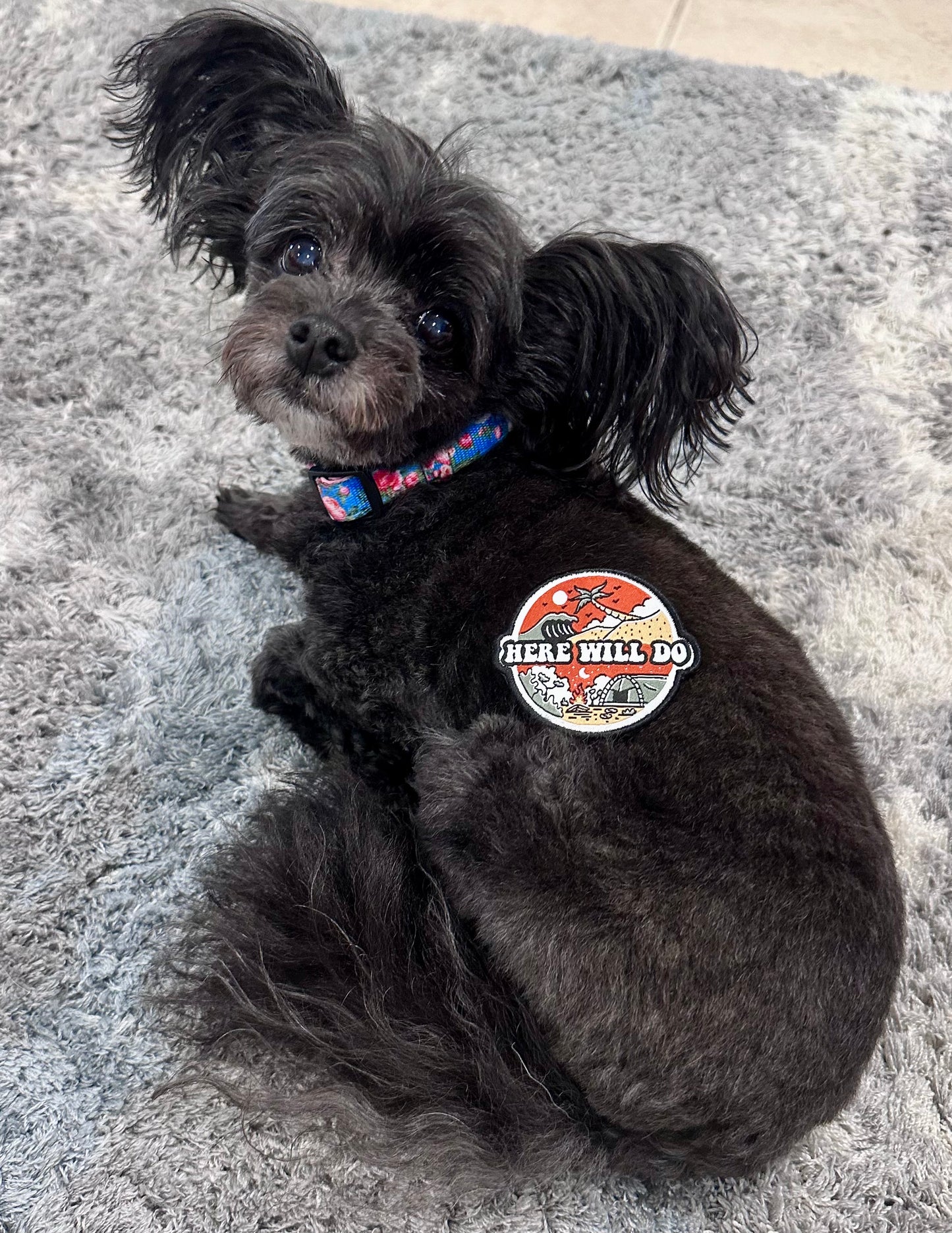 HWD Velcro Back Patches
